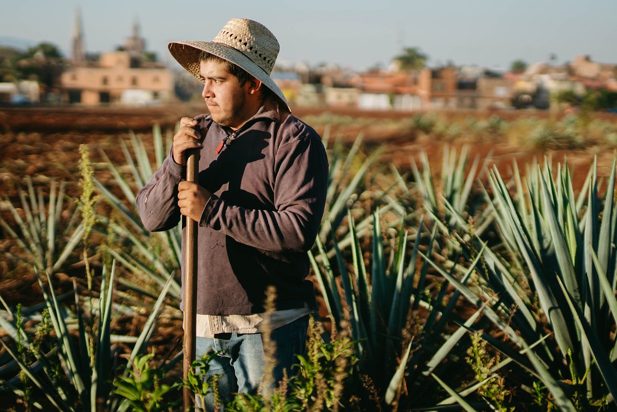 pexels-los-muertos-crew-10039970